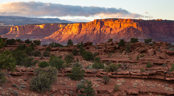 Capitol Reef National Park