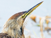 William L. Finley National Wildlife Refuge