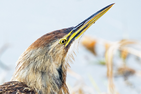 William L. Finley National Wildlife Refuge