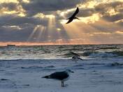 Fort DeSoto
