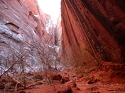 Zion National Park Utah