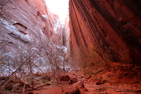 Zion National Park Utah
