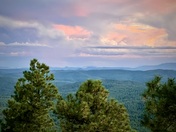 Apache-Sitgreaves National Forest