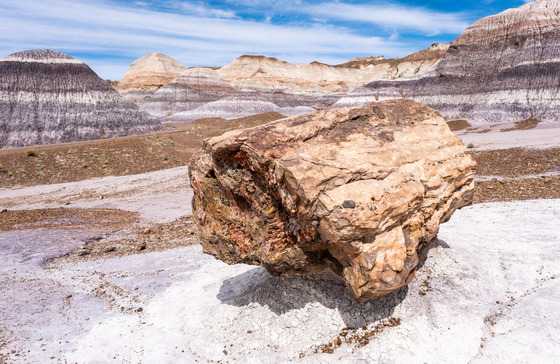 Petrified Forest National Park