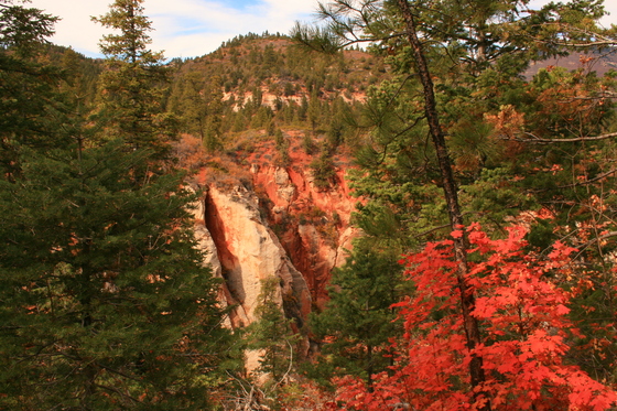 Zion National Park