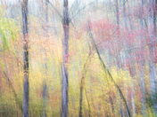 Great Smoky Mountains National Park