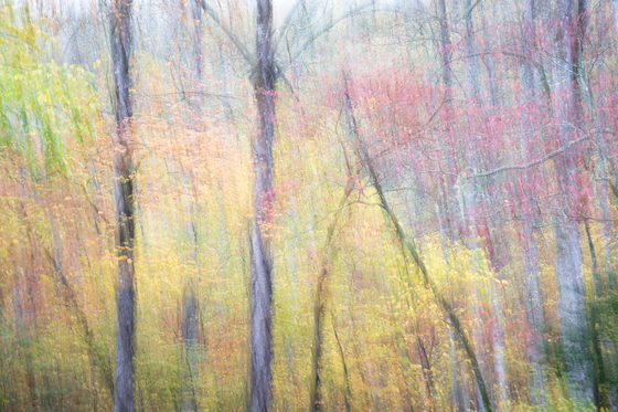 Great Smoky Mountains National Park