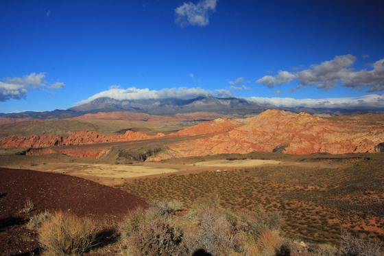 Red Cliffs Desert Reserve