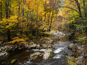 Great Smoky Mountain National Park