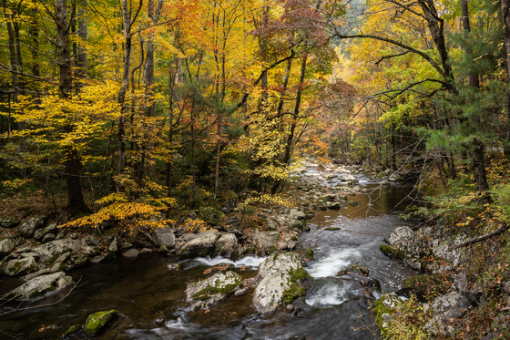 Great Smoky Mountain National Park