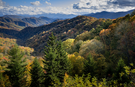 Great Smoky Mountain National Park