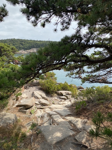 Acadia national park