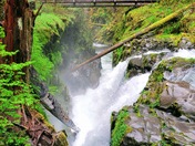 Olympic National Park