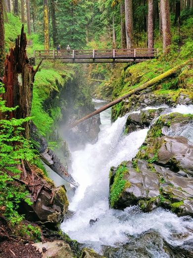 Olympic National Park