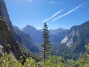 Yosemite National Park