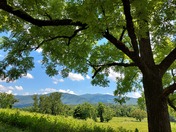 Great Smoky Mountains National Park Gatlinburg Tn