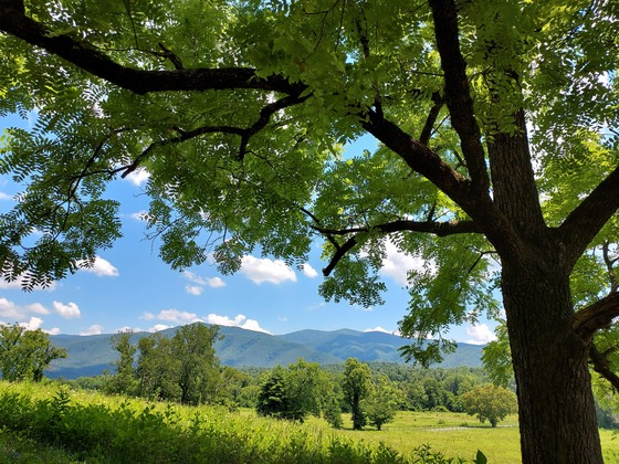 Great Smoky Mountains National Park Gatlinburg Tn