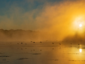  Muscatatuck NWR