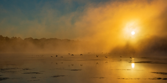  Muscatatuck NWR