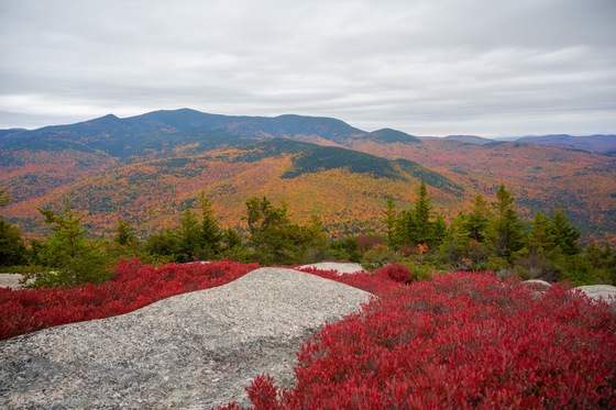 White Mountain National Forest