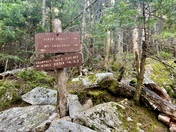 White Mountain National Forest