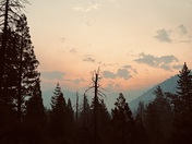 Yosemite National Park