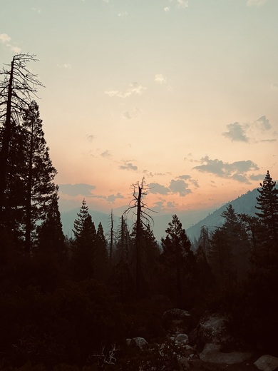 Yosemite National Park