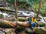 Great Smoky Mountains National Park