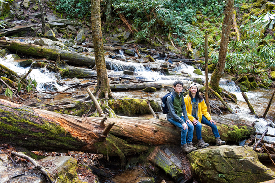 Great Smoky Mountains National Park
