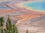 Yellowstone National Park, Grand Prismatic Spring