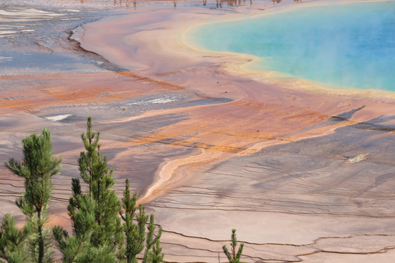 Yellowstone National Park, Grand Prismatic Spring