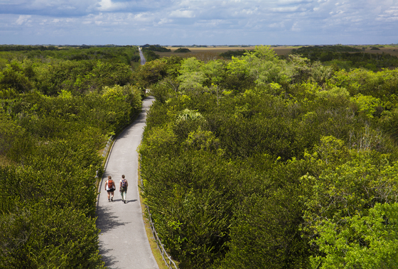 Everglades National Park