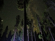 Deschutes National Forest