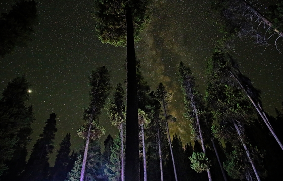 Deschutes National Forest