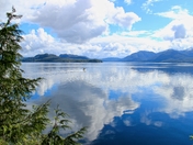Tongass National FOrest