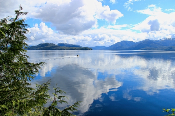 Tongass National FOrest