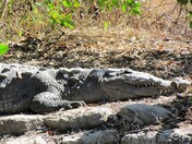 Everglades National Park