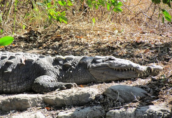 Everglades National Park
