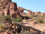 Arches National Park