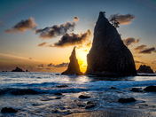 Olympic National Park