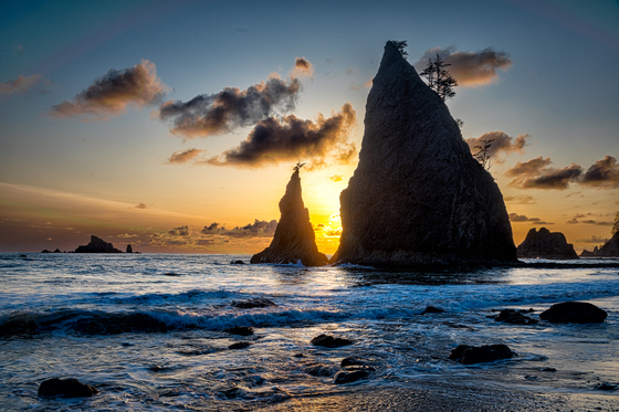 Olympic National Park