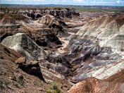 Petrified Forest National Park