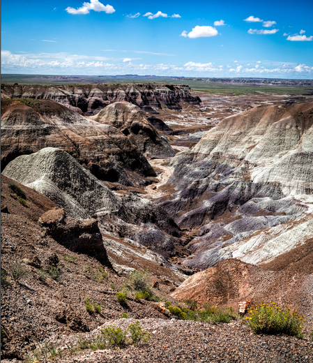 Petrified Forest National Park