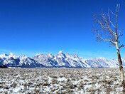 Grand Teton National Park