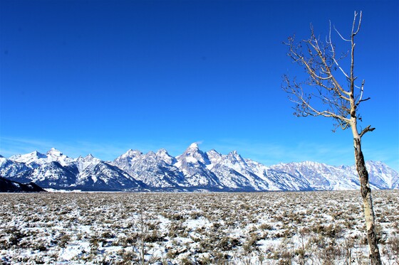 Grand Teton National Park