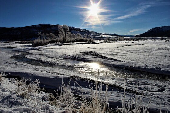 Yellowstone National Park- Soda Butte Creek