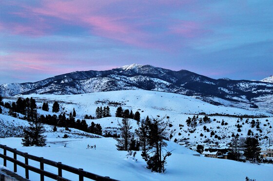 Yellowstone National Park