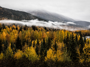  Chugach National Forest