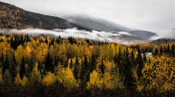  Chugach National Forest