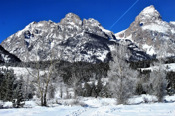 Grand Teton National Park 